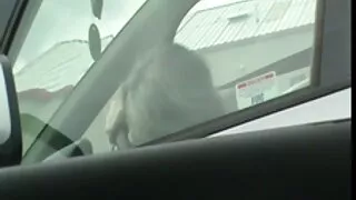 Jauneklis kļūst cumshot uz sejas uz vasaras raibumi pēc video gratis seks seksa.